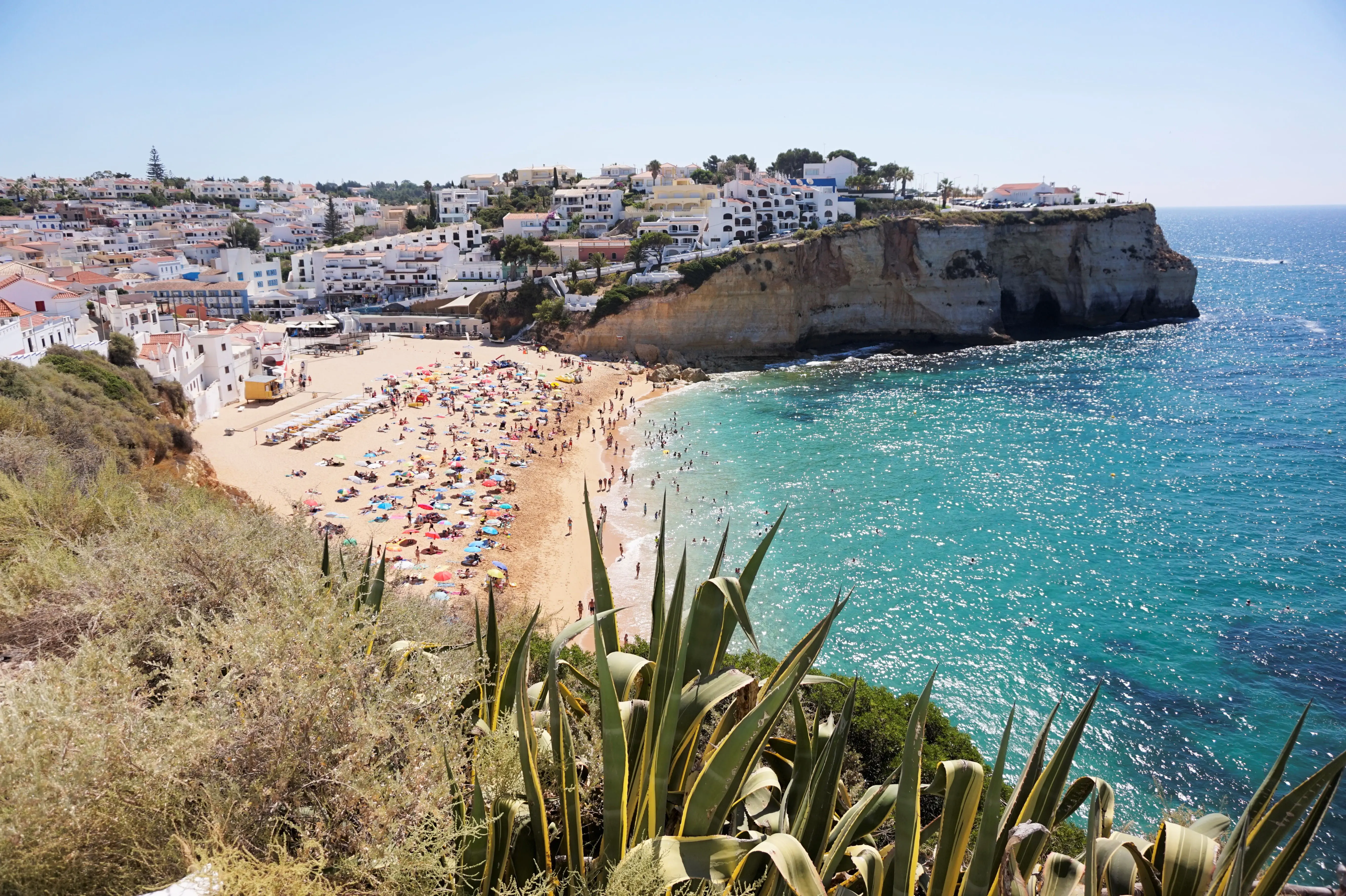 Carvoeiro