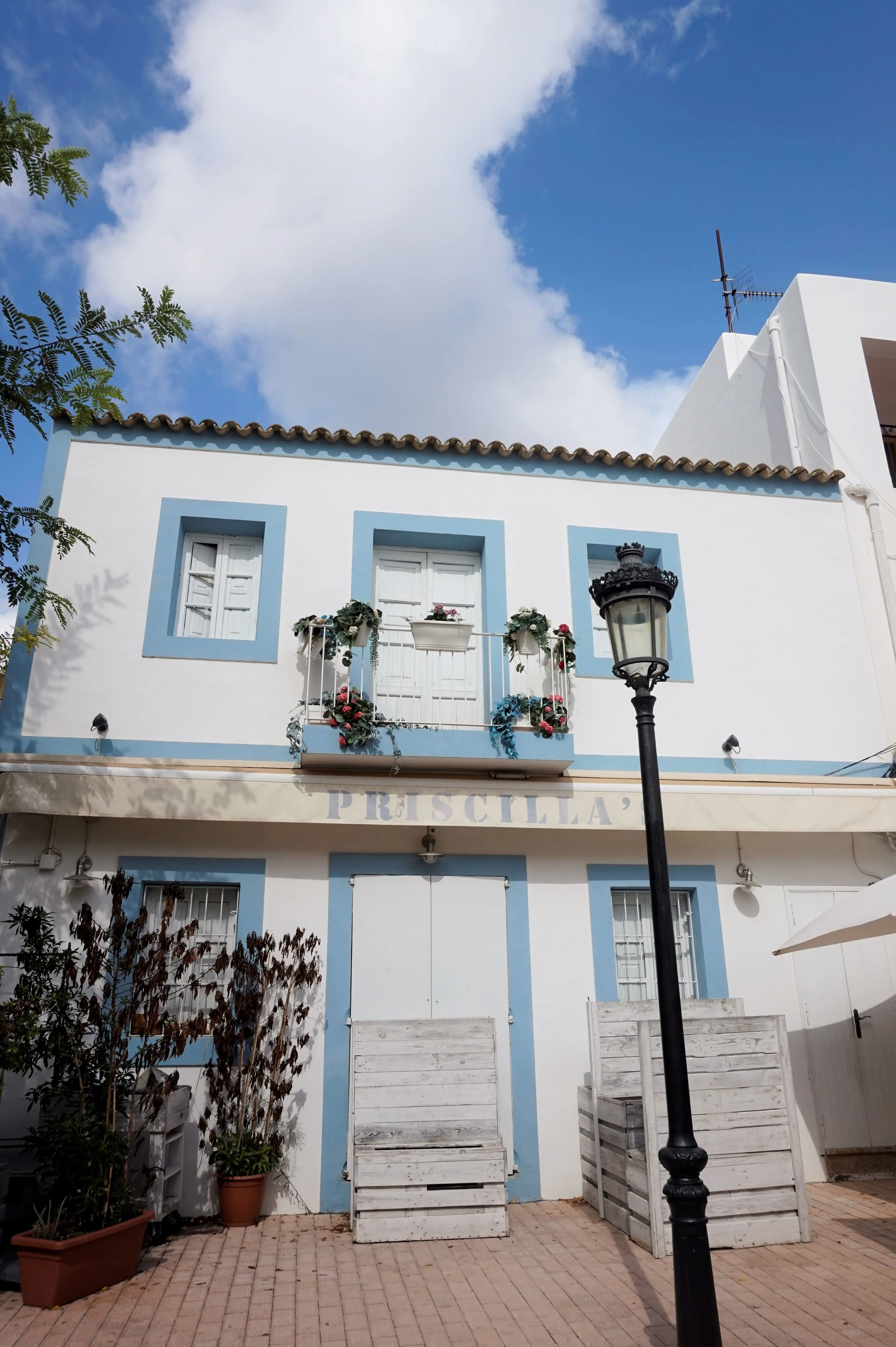 Santa Gertrudis