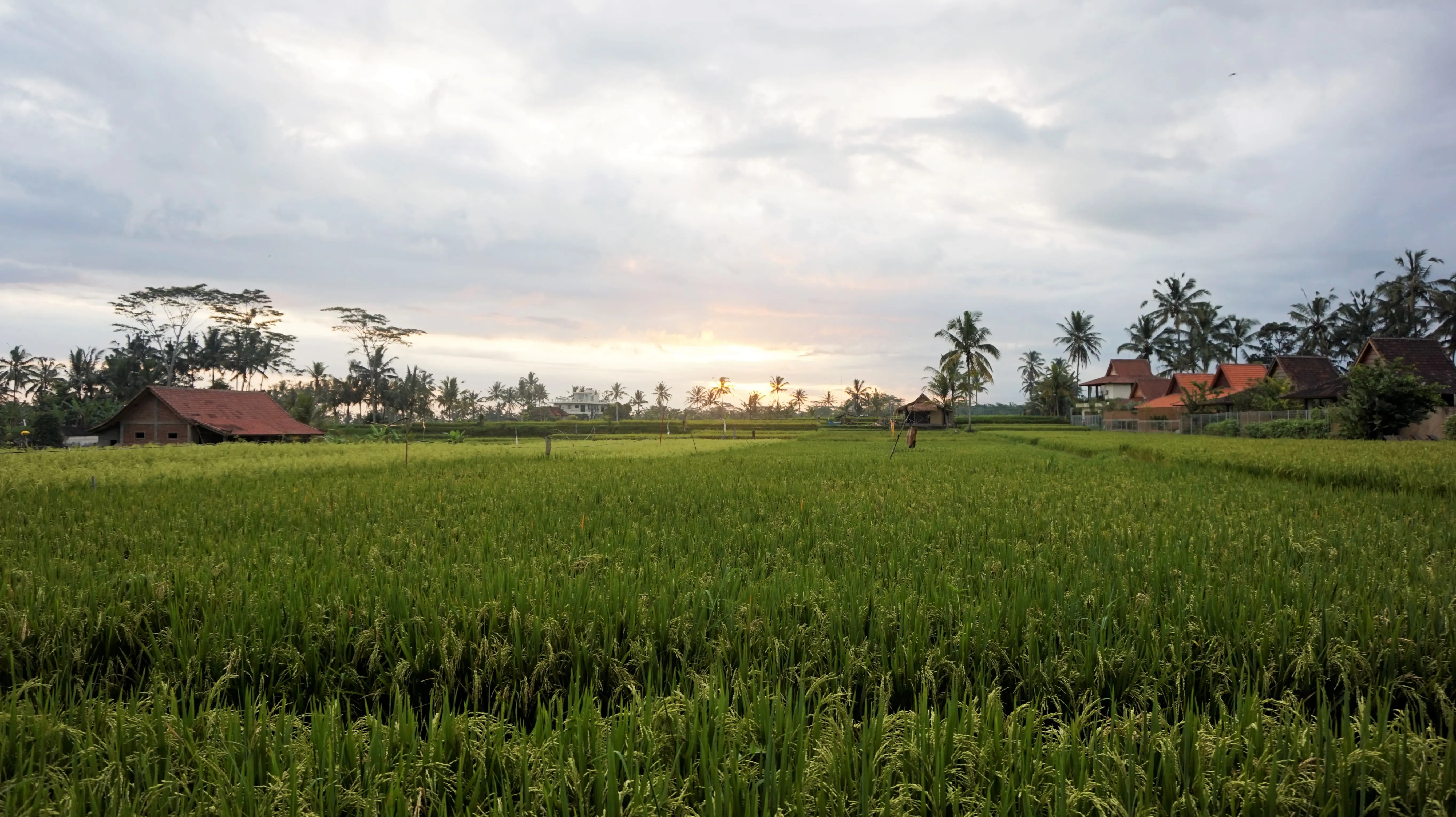 Ubud