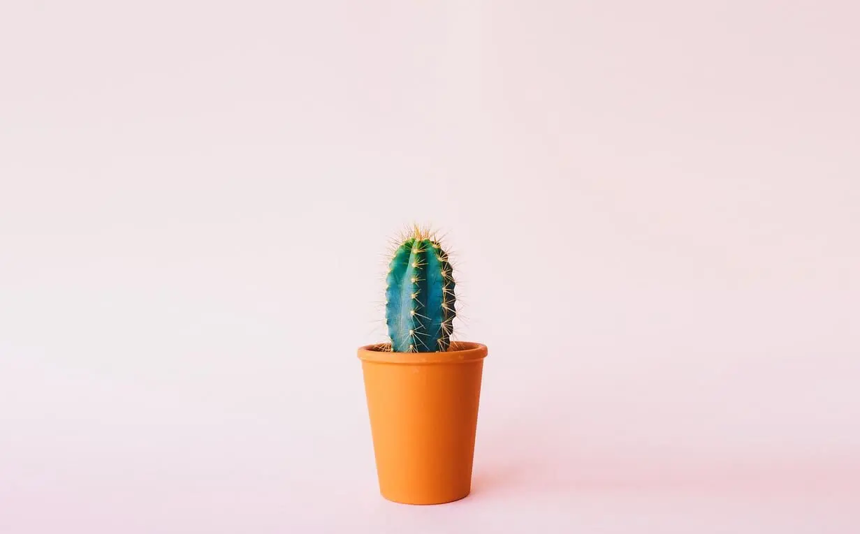 Minimalismus leben