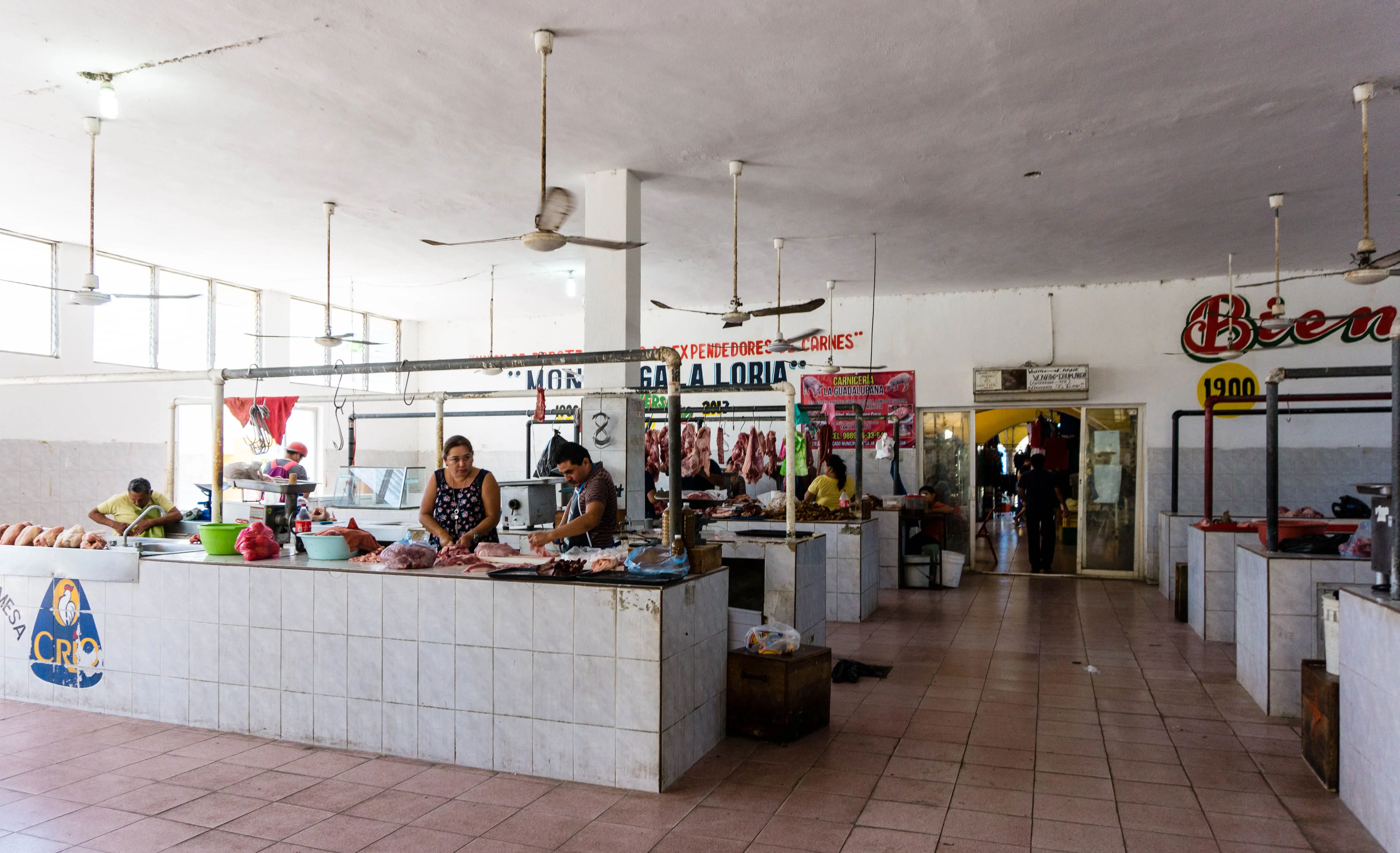 Yucatan Fleisch