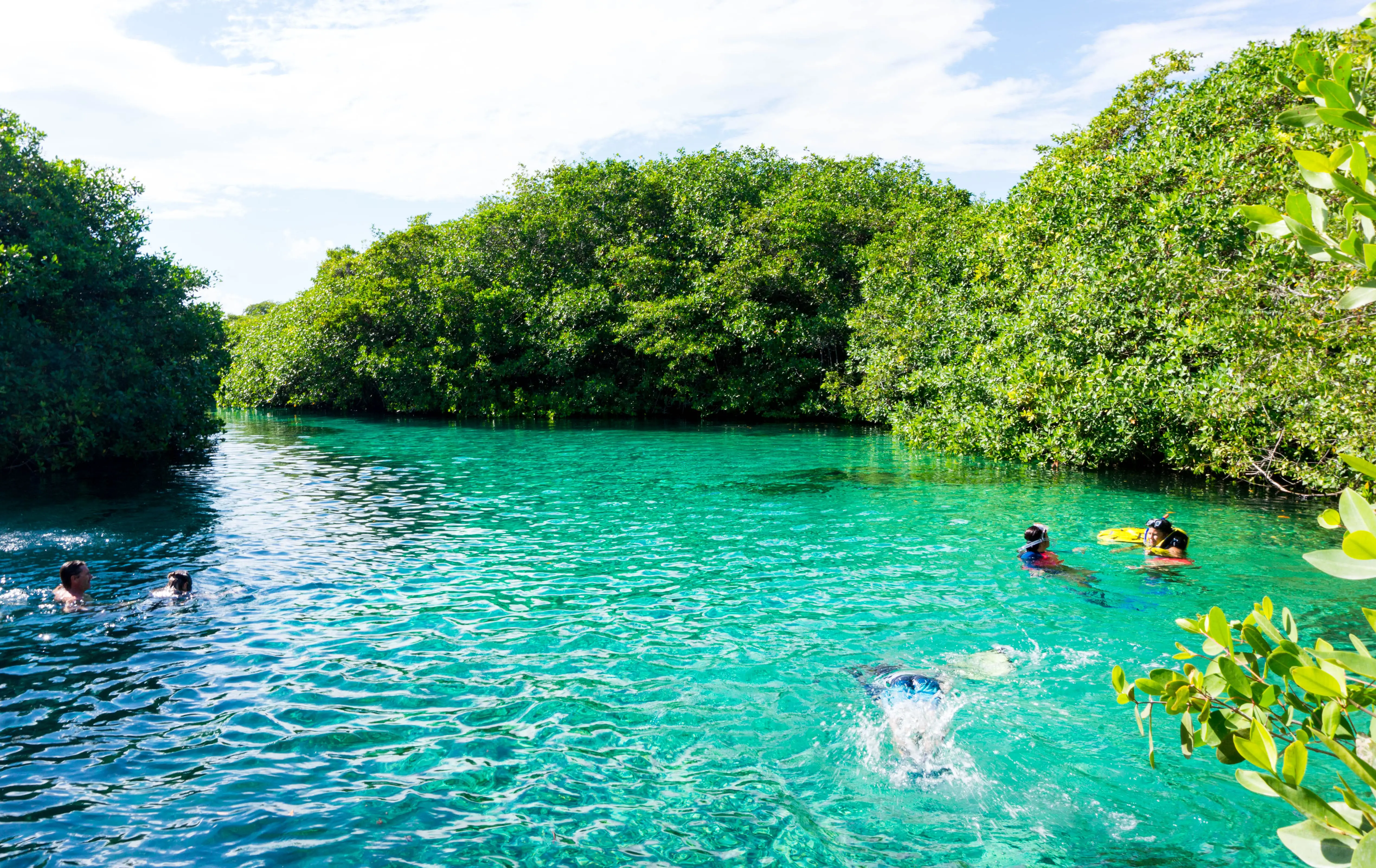 Cenote_Manatis