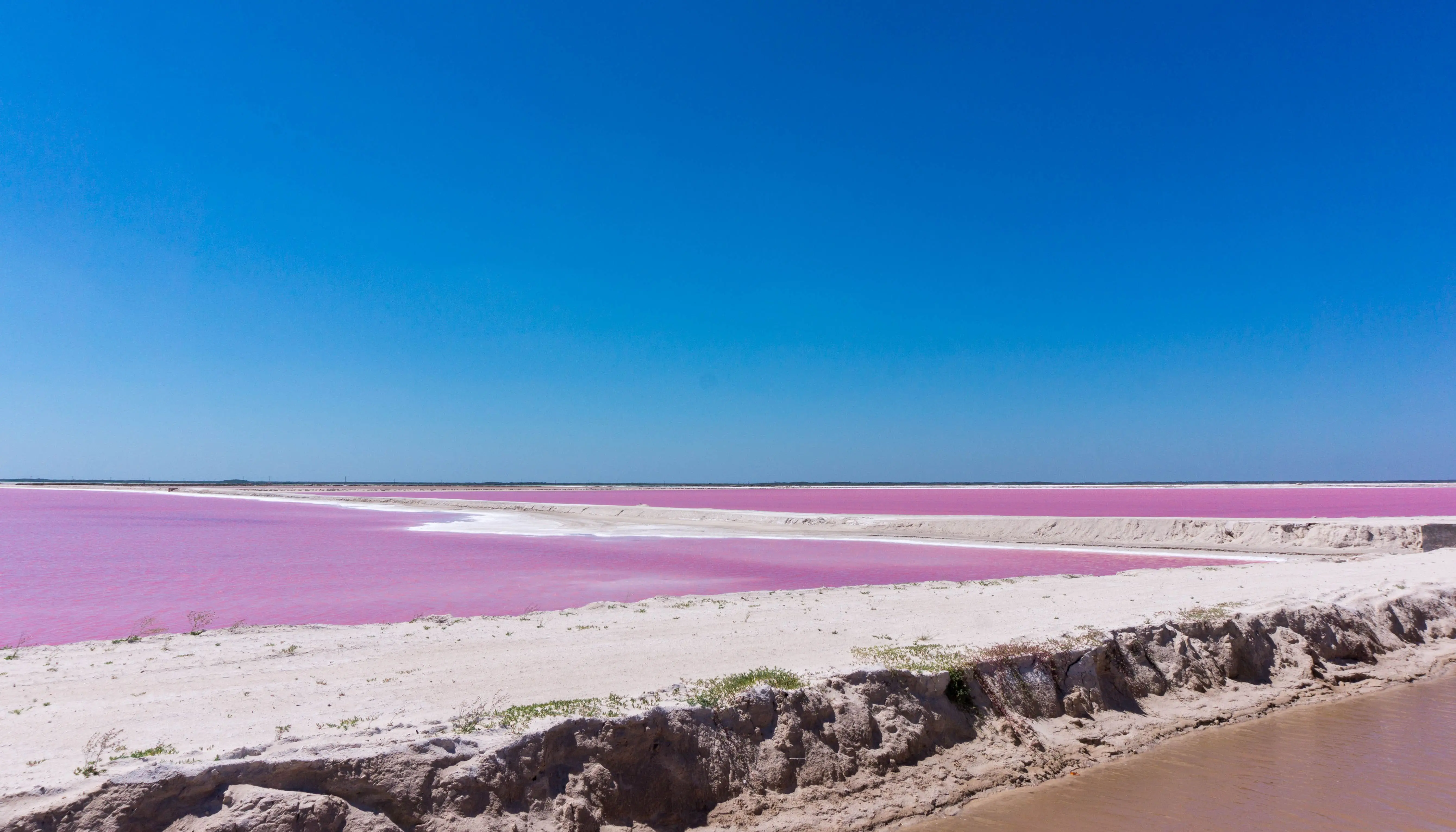 Las Coloradas