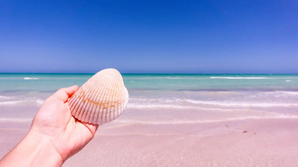 Las Coloradas Strand
