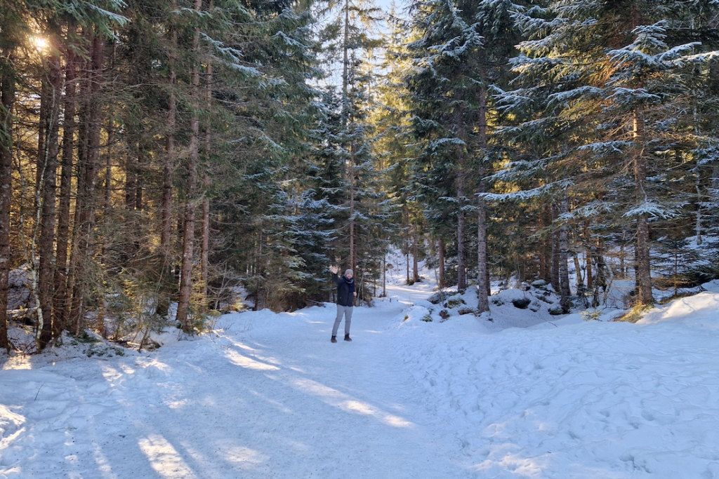 Tannheimer Tal Wandern