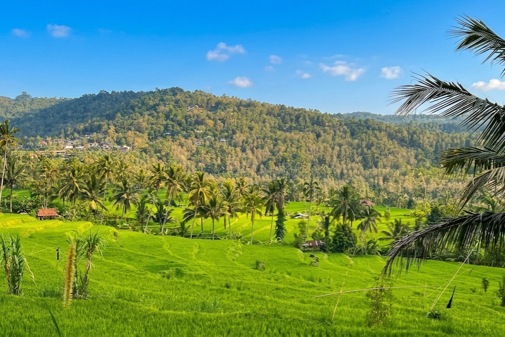 Bali Rundreise 2 Wochen Munduk