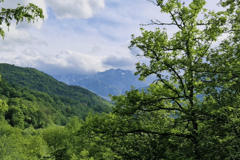 Bosnien-Herzegowina Urwald Perućica