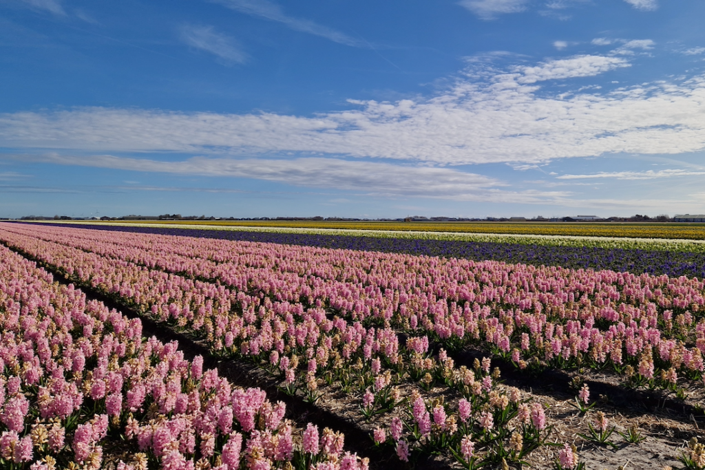 Callantsoog Sehenswuerdigkeiten