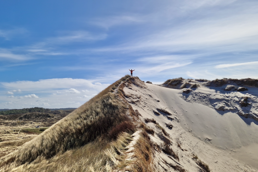 Callantsoog Sehenswuerdigkeiten Schoorlse Dünen