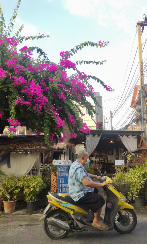 Chiang Mai Alstadt Gassen