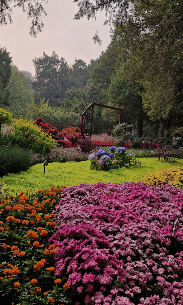 Peking Park Jingshan Blumen