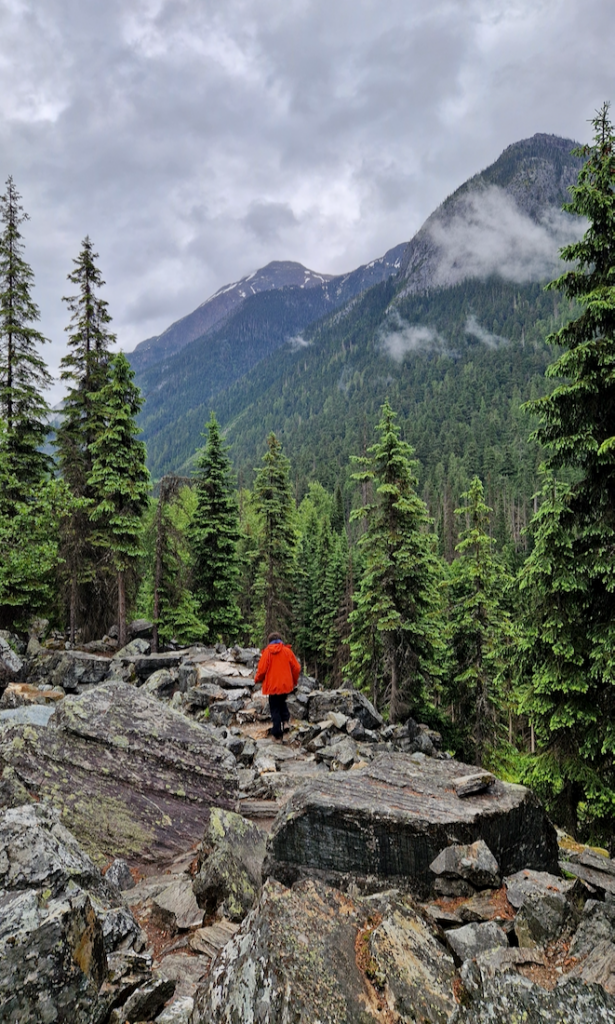 Glacier Nationalpark Rockgarden Trailhead