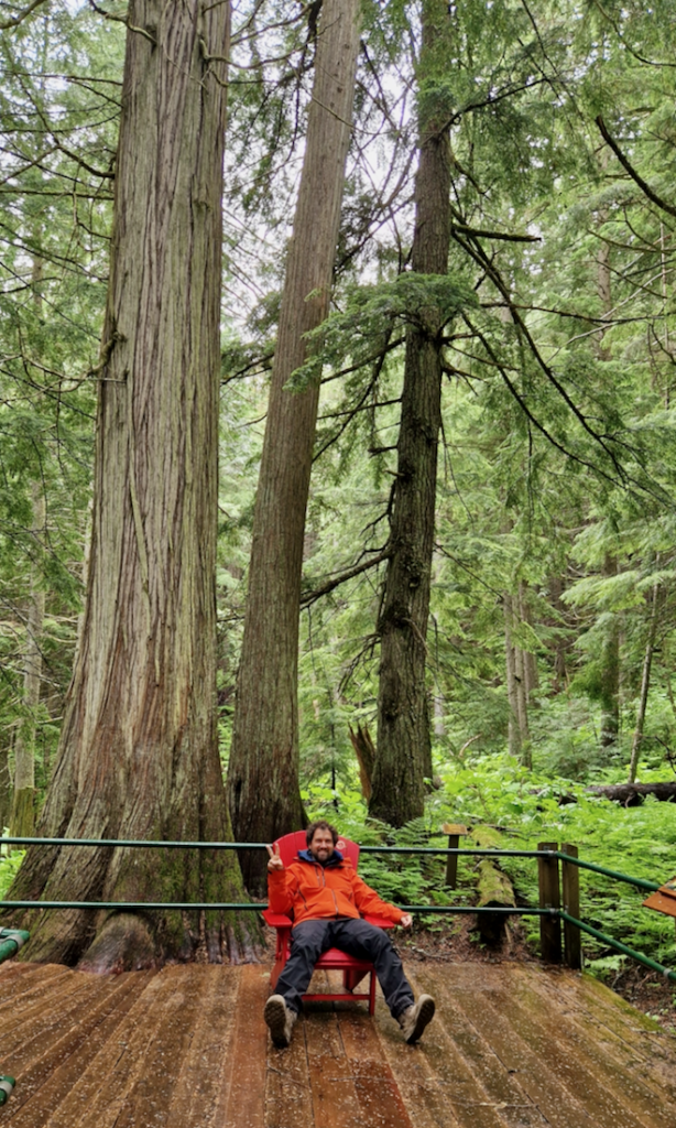 Glacier Nationalpark Kanada Hemlock Grove Boardwalk rote Stühle