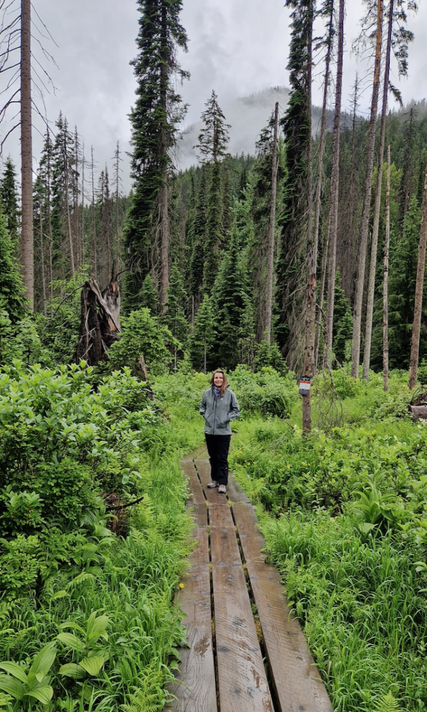 Glacier Nationalpark Kanada Rockgarden Trailhead