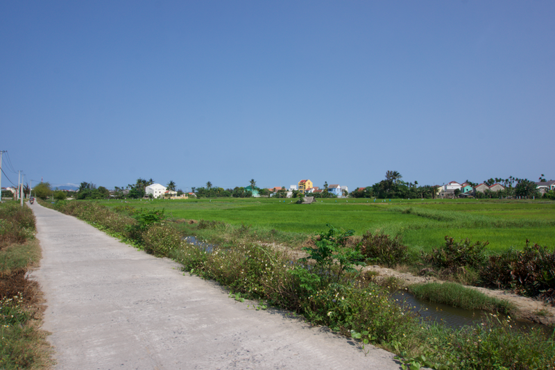 Hoi An Reisfelder