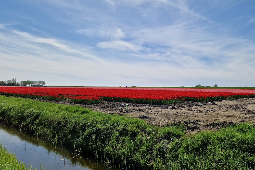 IJsselmeer Sehenswürdigkeiten_schönsten Orte Friesland