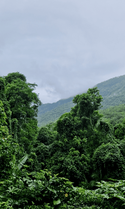 Ilha Grande Wandern