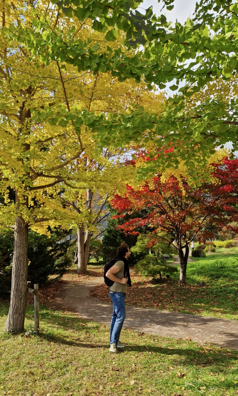 Japan Kawaguchiko Herbst