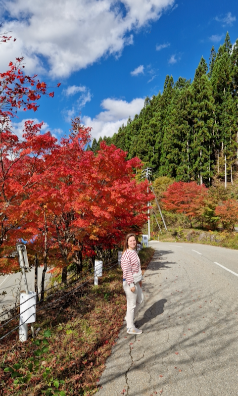 Japan Rundreise Herbst