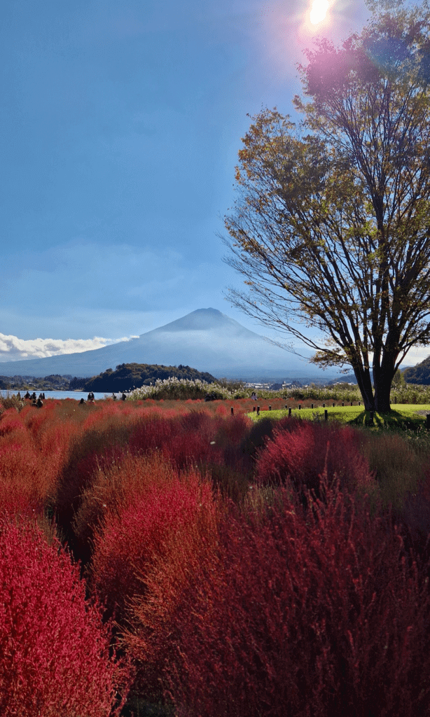 Mt- Fuji Japan Rundreise