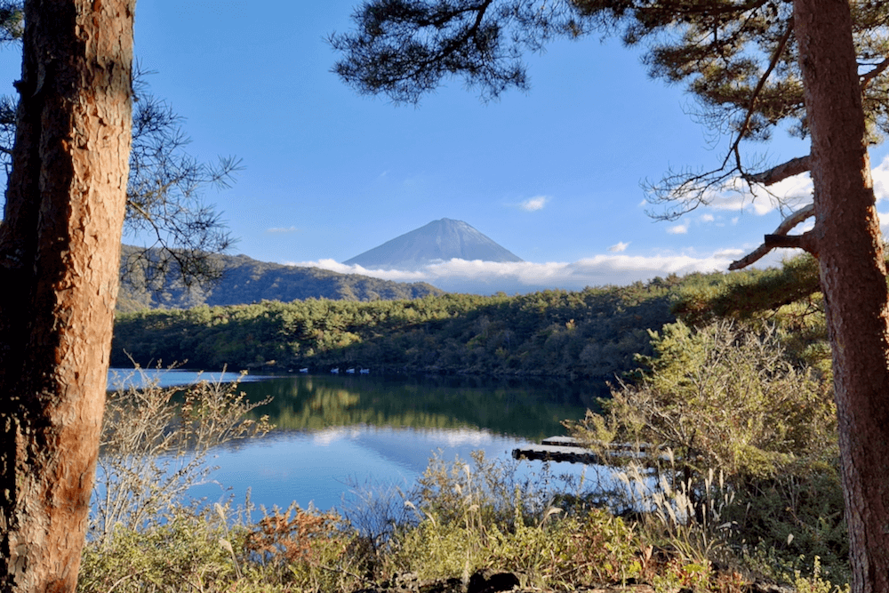 Kawaguchiko Sehenswürdigkeiten Lake Saiko