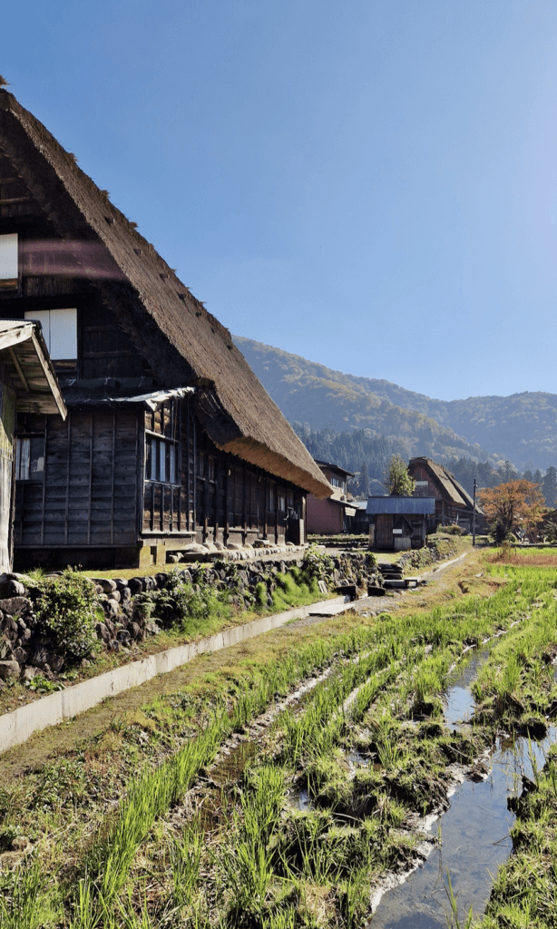 Shirakawago Gassho-Zukuri Häuser