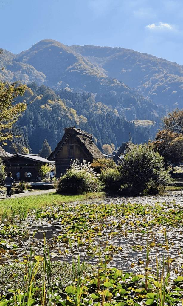 Shirakawago
