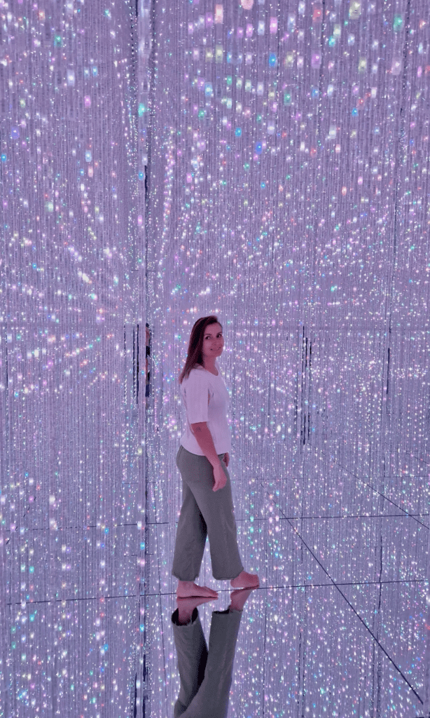 Tokio Sehenswürdigkeiten teamLab