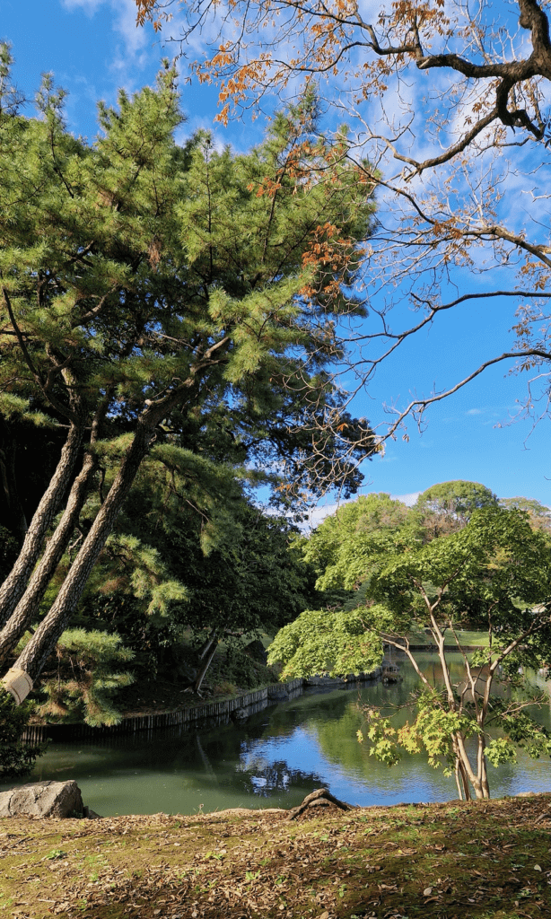 Tokio Park Rikugien Garden