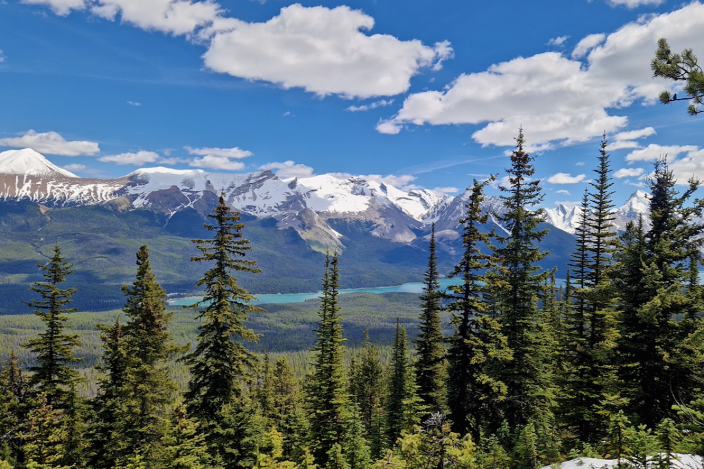 Jasper Nationalpark Sehenswürdigkeiten Bald Hills Trail