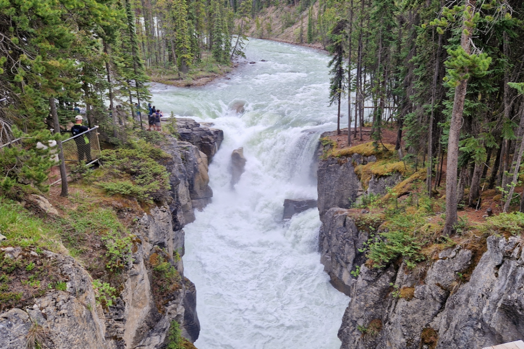 Jasper Nationalpark Sehenswuerdigkeiten Sunwapta Falls