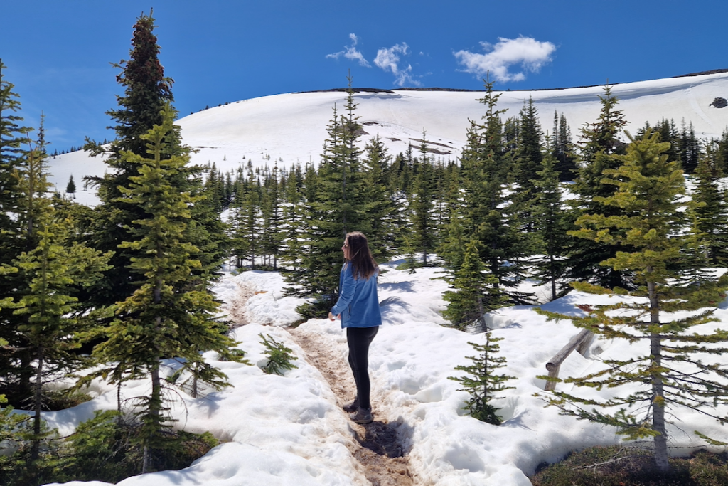 Jasper Nationalpark Wanderungen Bald Hills Trail