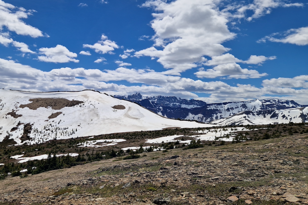 Jasper Nationalpark Wanderungen Bald Hills Trail Aussicht