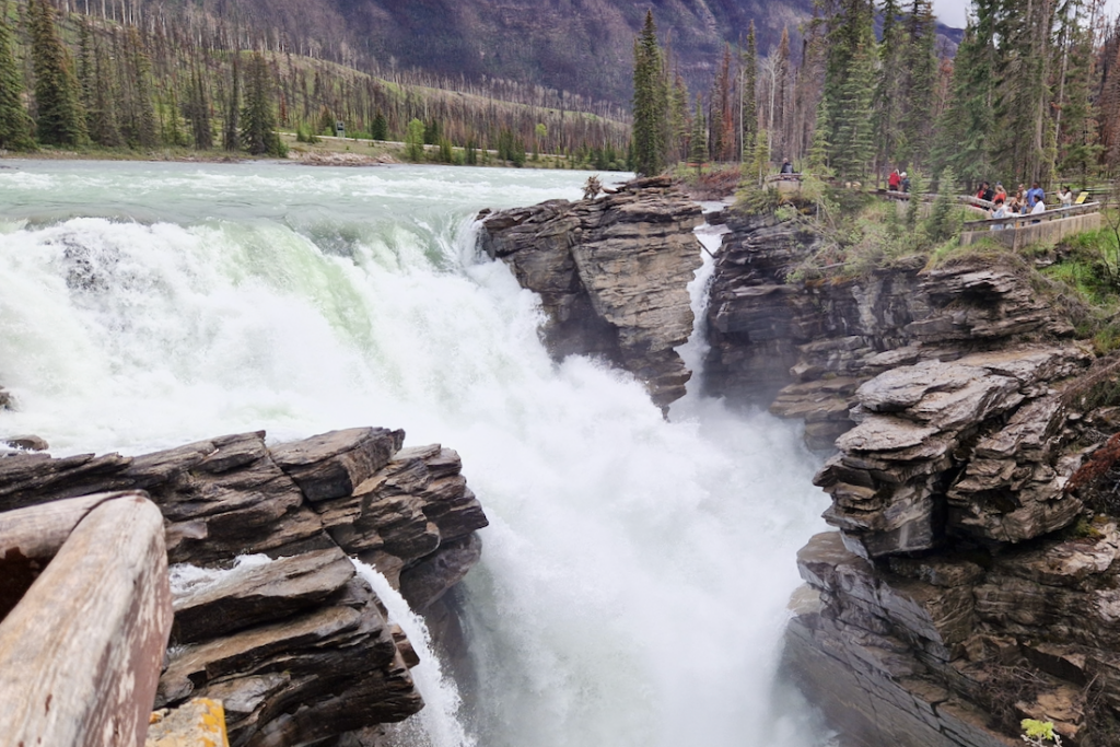 Jasper Nationalpark Athabasca Falls