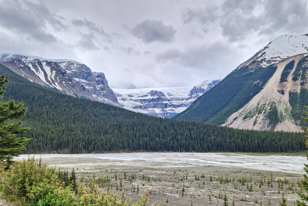 Jasper Nationalpark Stutfield Glacier Viewpoint