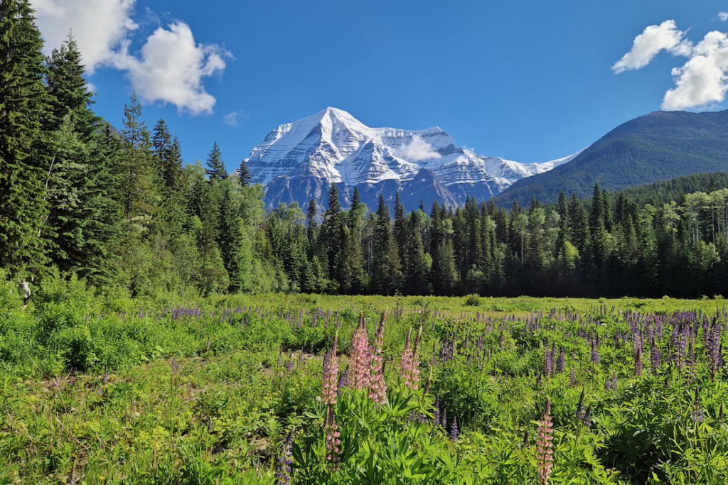 Rocky Mountains Mount Robson