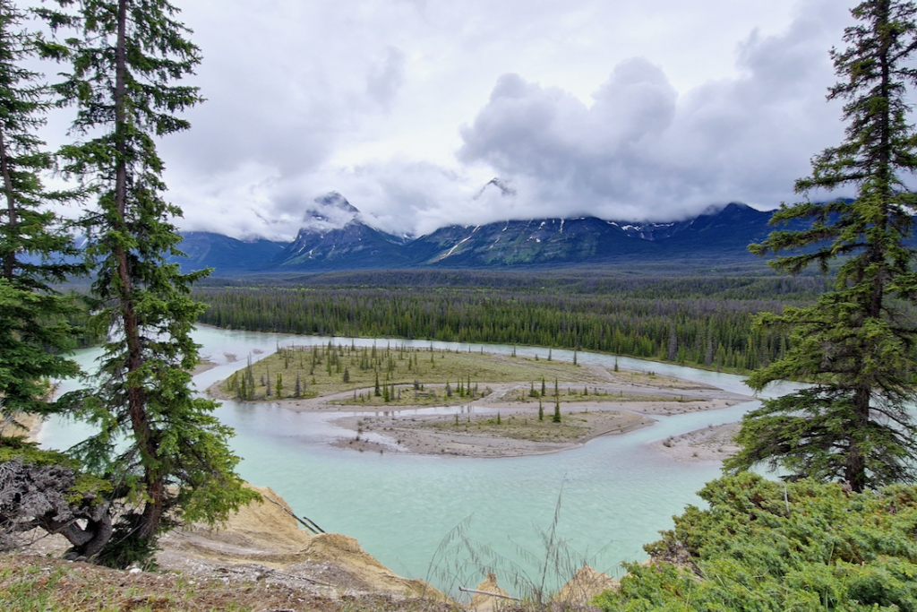Jasper Nationalpark Stutfield Glacier-Viewpoint