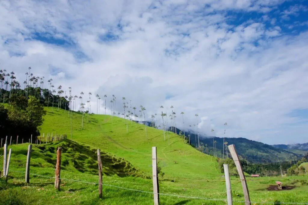 Salento Valle de Cocora