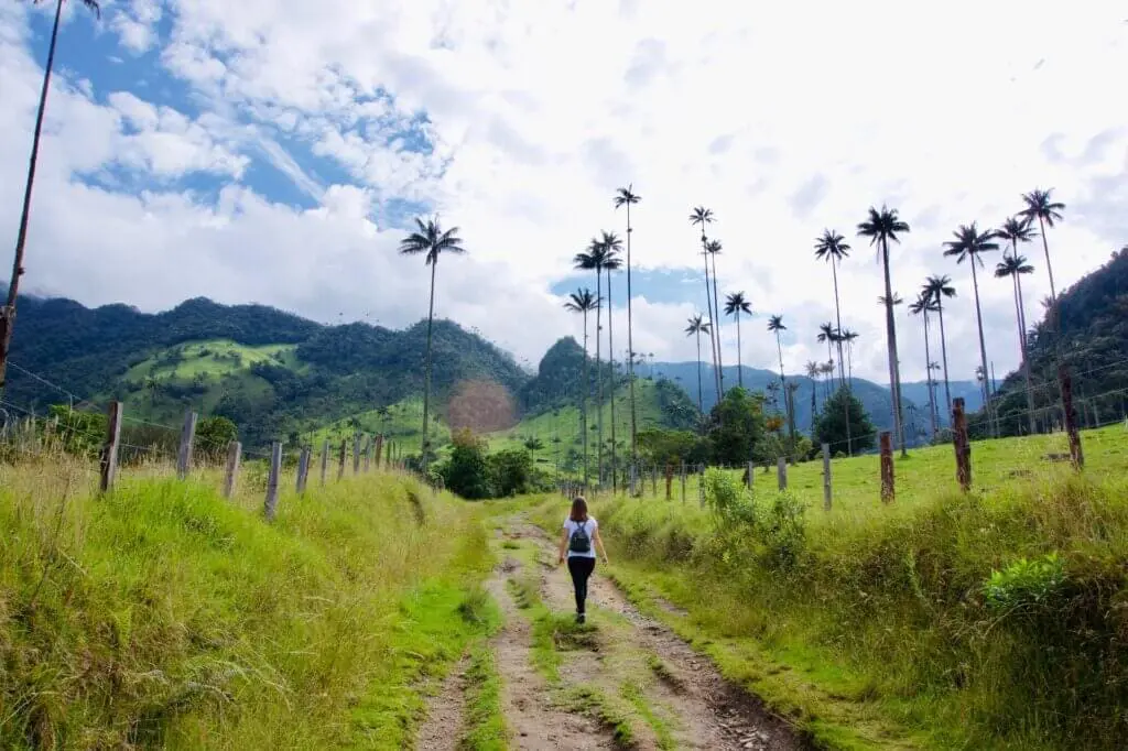 Salento Valle de Cocora