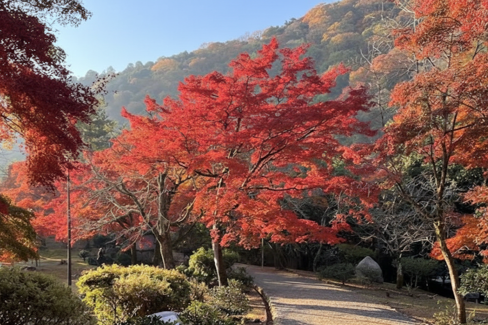 Kyoto Sehenswuerdigkeiten Arashiyama Park Kameyama 