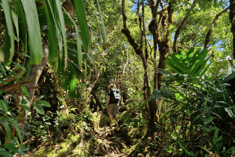 Mahe Sehenswürdigkeiten Morne Blanc Trail