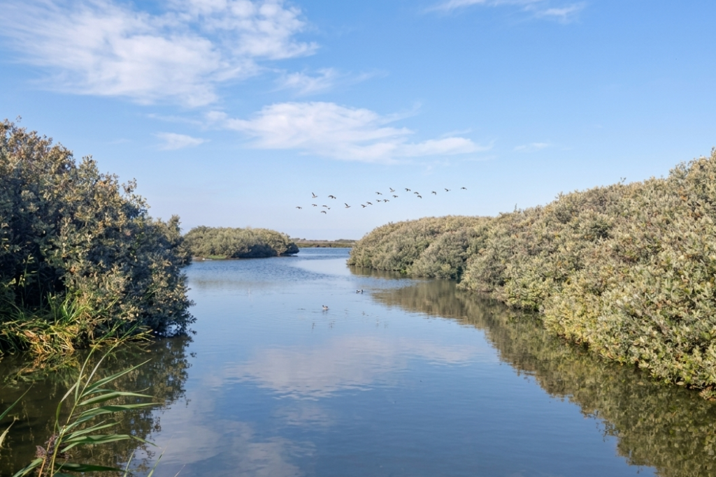 Naturgebiet Het Zwanenwater