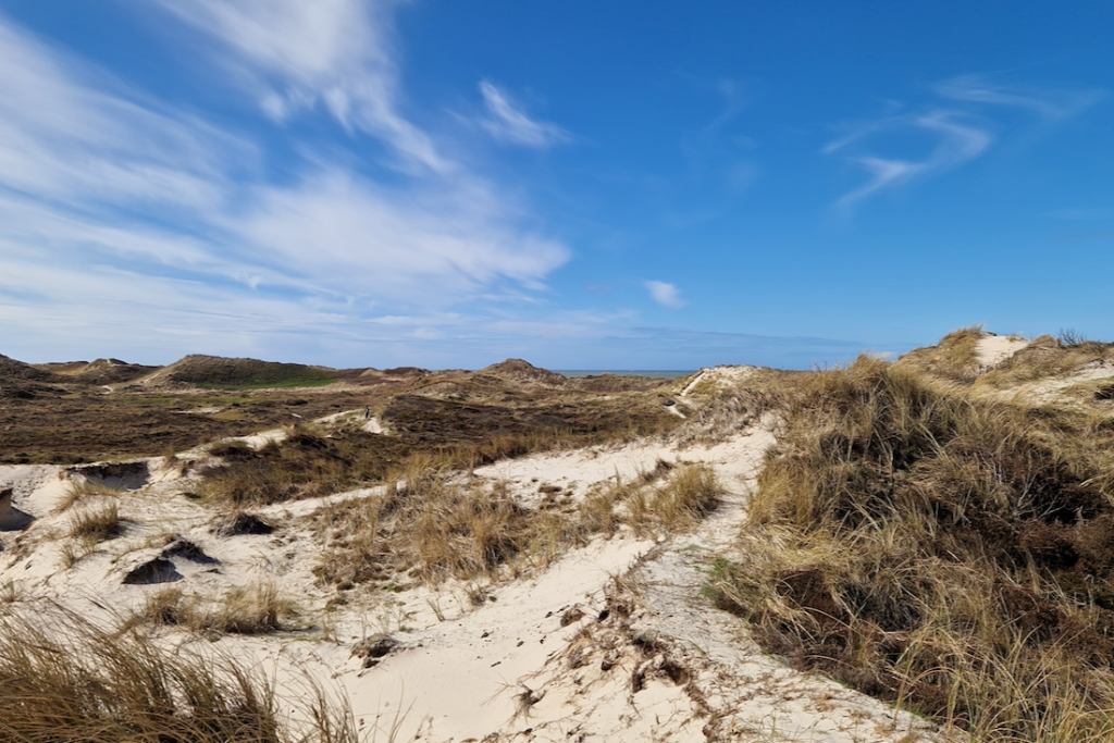 Nordholland Schoorlse Dünen