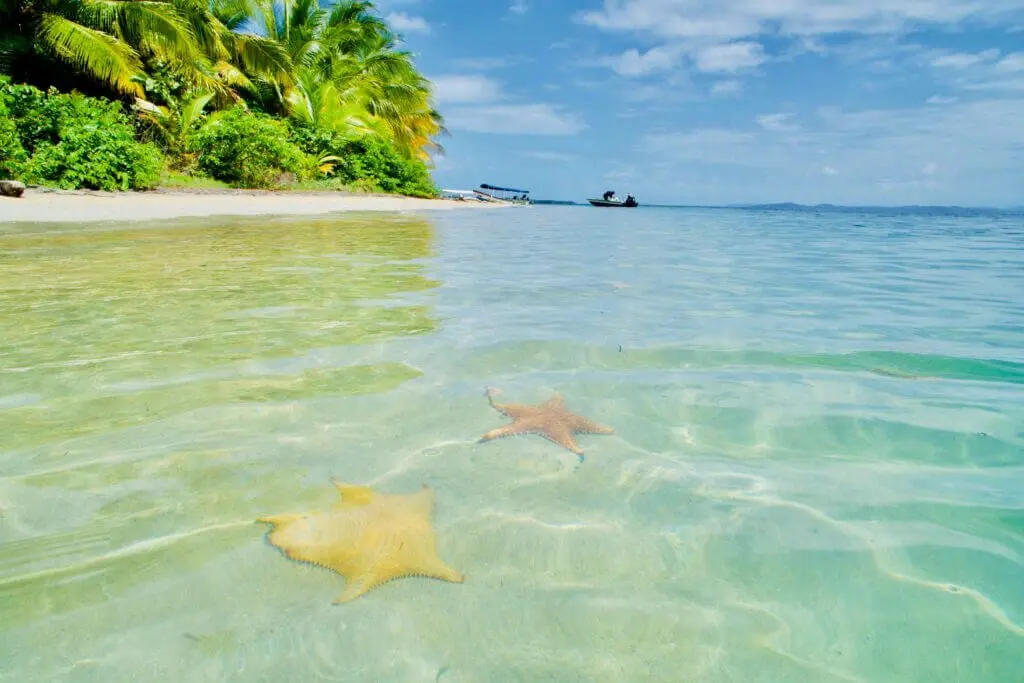 Bocas Del Toro
