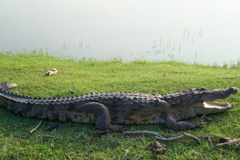 Sri Lanka Rundreise Kumana Nationalpark