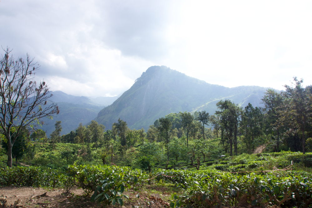 Sri Lanka Sehenswürdigkeiten Ella Rock