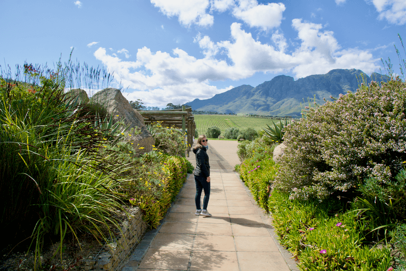 Suedafrika_Weinbauangebiet_Stellenbosch