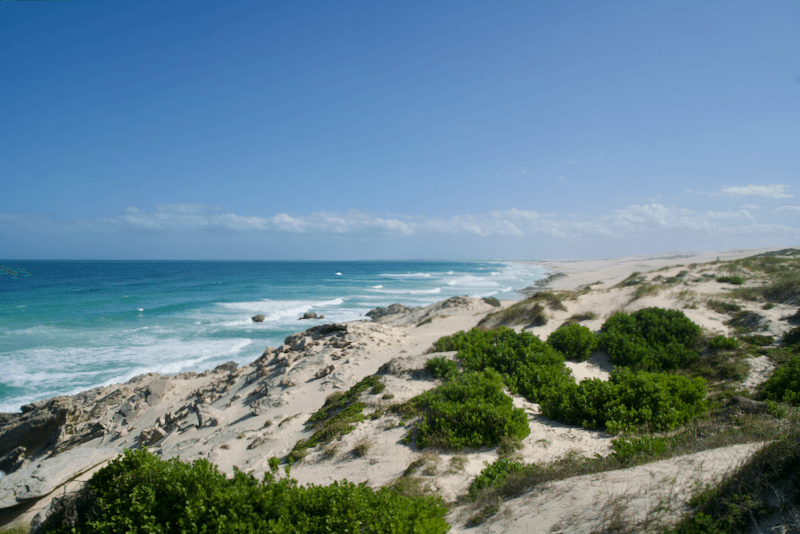 Garden Route Sehenswürdigkeiten De-Hoop-Nature-Reserve_duenen