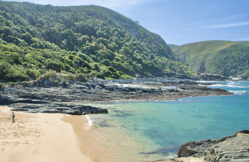 Garden Route Sehenswürdigkeiten Tsitsikamma Nationalpark