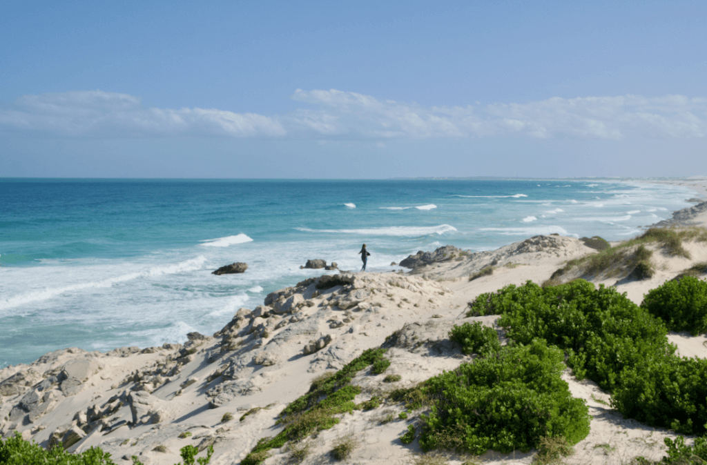 Südafrika_garden route_3 wochen